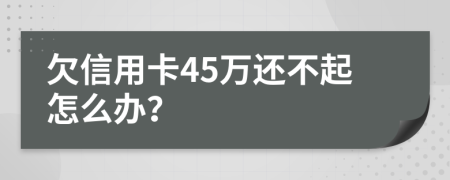 欠信用卡45萬還不起怎么辦？
