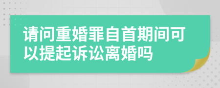 請問重婚罪自首期間可以提起訴訟離婚嗎