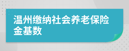 溫州繳納社會養(yǎng)老保險金基數(shù)