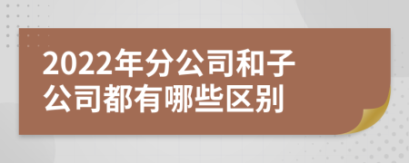 2022年分公司和子公司都有哪些區(qū)別