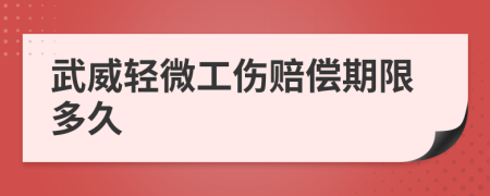 武威輕微工傷賠償期限多久