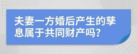 夫妻一方婚后產(chǎn)生的孳息屬于共同財(cái)產(chǎn)嗎？