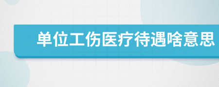 單位工傷醫(yī)療待遇啥意思