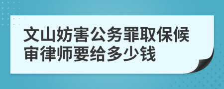 文山妨害公務(wù)罪取保候?qū)徛蓭熞o多少錢