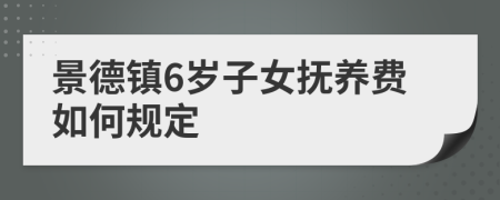 景德鎮(zhèn)6歲子女撫養(yǎng)費(fèi)如何規(guī)定