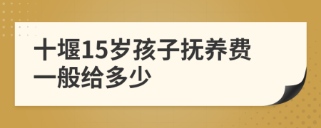 十堰15歲孩子撫養(yǎng)費(fèi)一般給多少