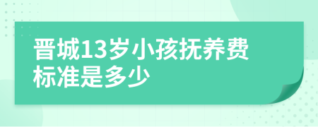 晉城13歲小孩撫養(yǎng)費(fèi)標(biāo)準(zhǔn)是多少