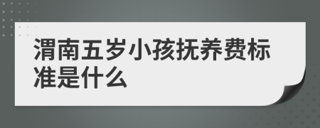 渭南五歲小孩撫養(yǎng)費標準是什么