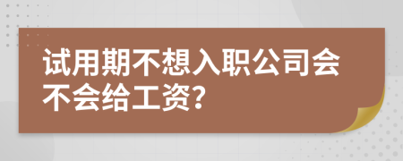 試用期不想入職公司會(huì)不會(huì)給工資？