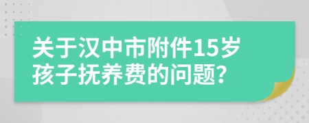 關(guān)于漢中市附件15歲孩子撫養(yǎng)費(fèi)的問題？