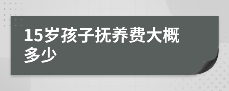 15歲孩子撫養(yǎng)費大概多少