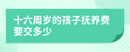 十六周歲的孩子撫養(yǎng)費要交多少