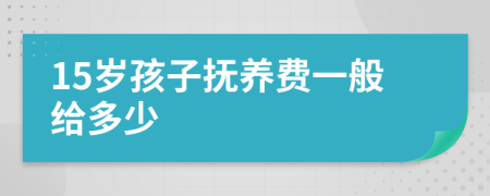 15歲孩子撫養(yǎng)費(fèi)一般給多少