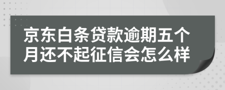 京東白條貸款逾期五個月還不起征信會怎么樣
