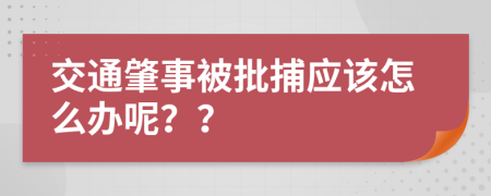 交通肇事被批捕應(yīng)該怎么辦呢？？