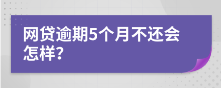 網(wǎng)貸逾期5個(gè)月不還會(huì)怎樣？