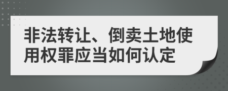 非法轉(zhuǎn)讓、倒賣土地使用權(quán)罪應(yīng)當(dāng)如何認(rèn)定