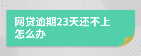 網(wǎng)貸逾期23天還不上怎么辦