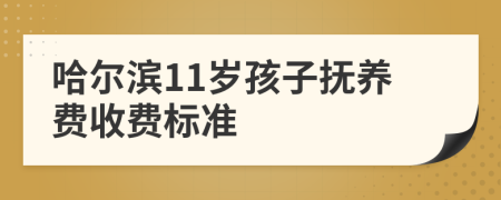 哈爾濱11歲孩子撫養(yǎng)費(fèi)收費(fèi)標(biāo)準(zhǔn)
