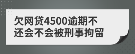 欠網(wǎng)貸4500逾期不還會(huì)不會(huì)被刑事拘留