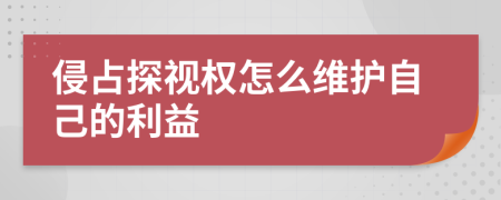 侵占探視權(quán)怎么維護(hù)自己的利益