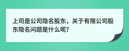 上司是公司隱名股東，關(guān)于有限公司股東隱名問題是什么呢？