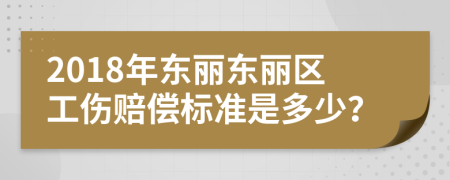 2018年?yáng)|麗東麗區(qū)工傷賠償標(biāo)準(zhǔn)是多少？
