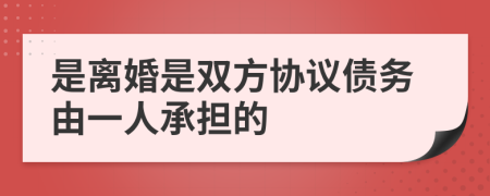 是離婚是雙方協(xié)議債務(wù)由一人承擔(dān)的