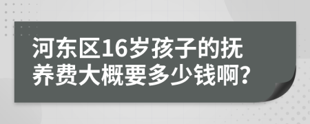 河?xùn)|區(qū)16歲孩子的撫養(yǎng)費(fèi)大概要多少錢?。?>
                </a>
            </div>
            <div   id=