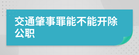 交通肇事罪能不能開除公職