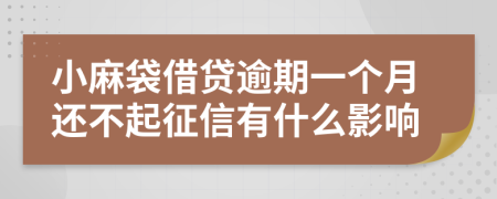 小麻袋借貸逾期一個月還不起征信有什么影響