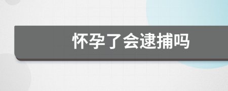 懷孕了會(huì)逮捕嗎