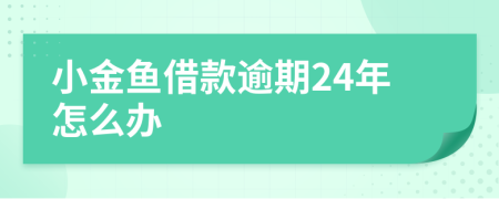 小金魚借款逾期24年怎么辦