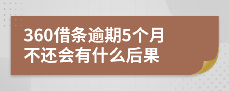 360借條逾期5個月不還會有什么后果
