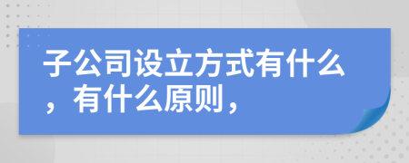 子公司設(shè)立方式有什么，有什么原則，