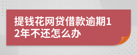 提錢花網(wǎng)貸借款逾期12年不還怎么辦
