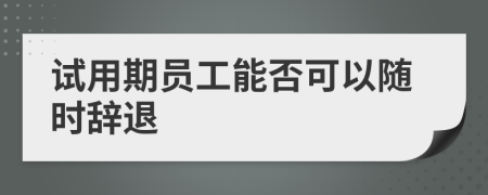 試用期員工能否可以隨時(shí)辭退