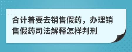 合計(jì)著要去銷售假藥，辦理銷售假藥司法解釋怎樣判刑