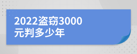 2022盜竊3000元判多少年