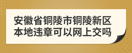 安徽省銅陵市銅陵新區(qū)本地違章可以網(wǎng)上交嗎