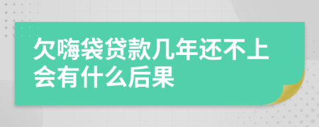 欠嗨袋貸款幾年還不上會有什么后果