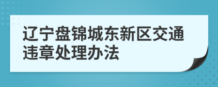 遼寧盤錦城東新區(qū)交通違章處理辦法