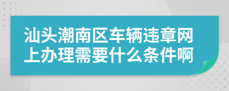 汕頭潮南區(qū)車輛違章網(wǎng)上辦理需要什么條件啊