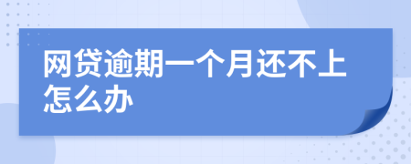 網(wǎng)貸逾期一個(gè)月還不上怎么辦