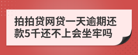 拍拍貸網(wǎng)貸一天逾期還款5千還不上會(huì)坐牢嗎