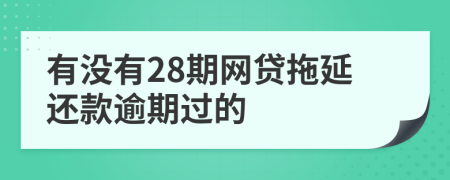 有沒(méi)有28期網(wǎng)貸拖延還款逾期過(guò)的