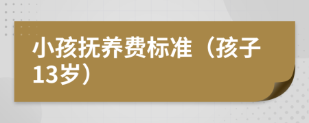 小孩撫養(yǎng)費標(biāo)準(zhǔn)（孩子13歲）