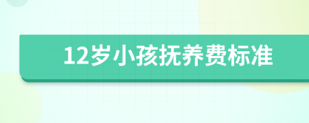 12歲小孩撫養(yǎng)費標(biāo)準(zhǔn)