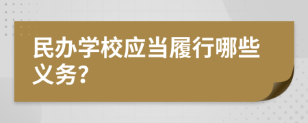 民辦學(xué)校應(yīng)當(dāng)履行哪些義務(wù)？