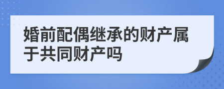 婚前配偶繼承的財(cái)產(chǎn)屬于共同財(cái)產(chǎn)嗎